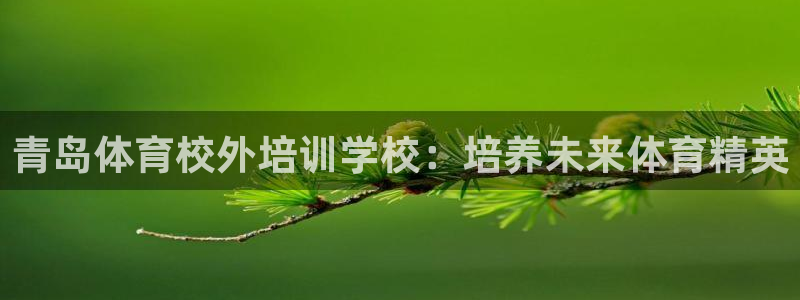 耀世是什么意思：青岛体育校外培训学校：培养未来体育精