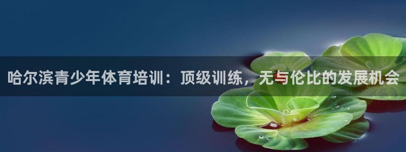 耀世娱乐脚本下载官网：哈尔滨青少年体育培训：顶级训练