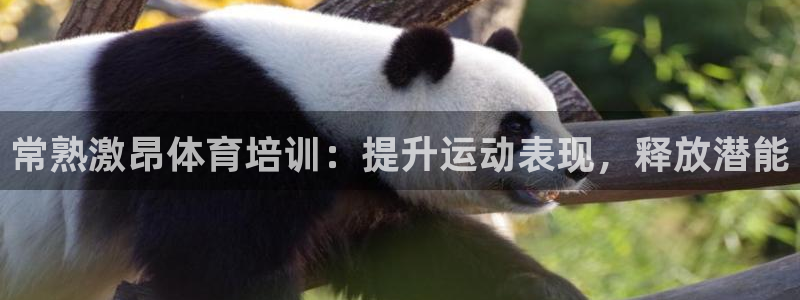耀世天下和如日中天哪个好：常熟激昂体育培训：提升运动