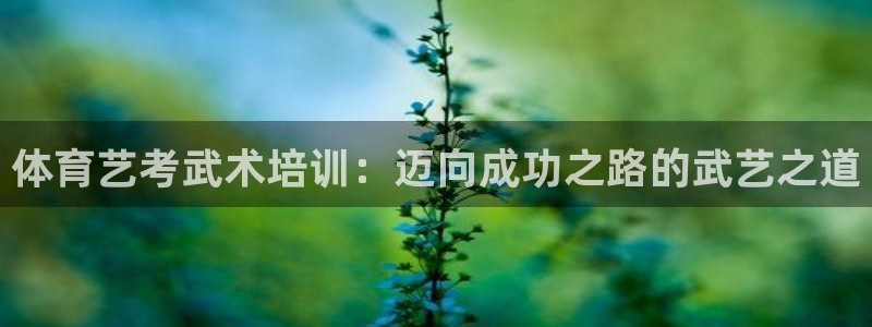 耀世而生：体育艺考武术培训：迈向成功之路的武艺之道