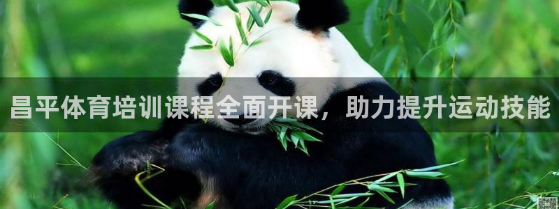 耀世娱乐电 5O6917 娱乐：昌平体育培训课程全面