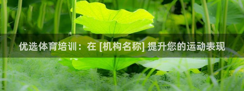 耀世平台代理怎么样：优选体育培训：在 [机构名称] 