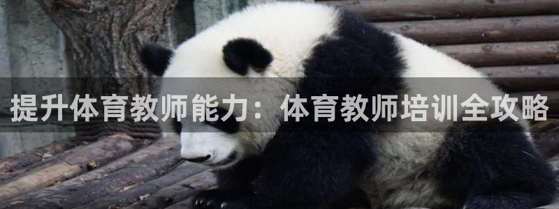 耀世汽车：提升体育教师能力：体育教师培训全攻略
