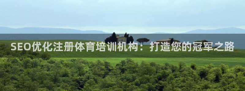 耀世平台app下载安装官网：SEO优化注册体育培训机