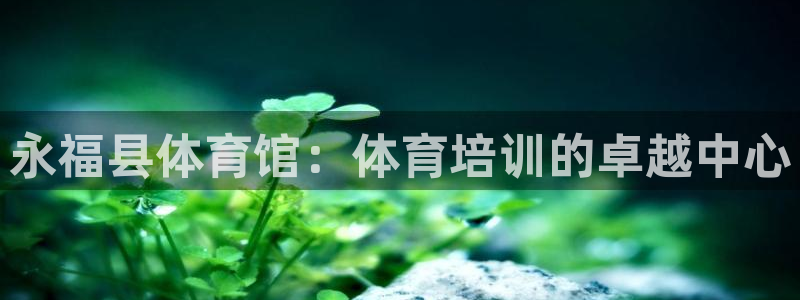 耀世是什么游戏：永福县体育馆：体育培训的卓越中心