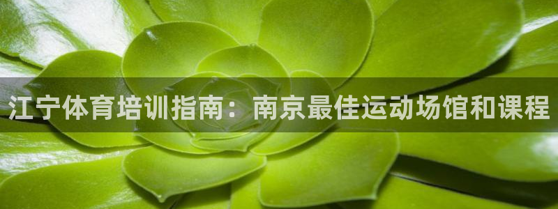 耀世官网：江宁体育培训指南：南京最佳运动场馆和课程