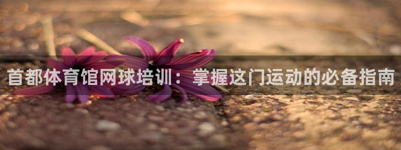 耀世娱乐平台注册地址在哪里：首都体育馆网球培训：掌握