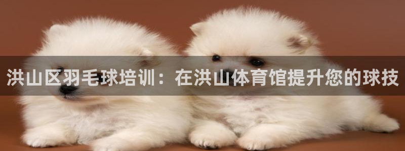 耀世娱乐老板是哪里人：洪山区羽毛球培训：在洪山体育馆