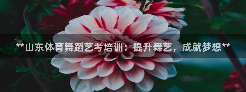 耀世娱乐联3.7.9.9.7 天乐：**山东体育舞蹈