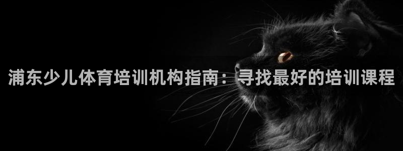 耀世娱乐辅助：浦东少儿体育培训机构指南：寻找最好的培