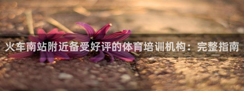 耀世游戏：火车南站附近备受好评的体育培训机构：完整指
