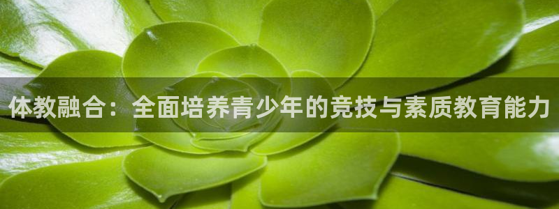 耀世娱乐是玛雅旗下的吗知乎