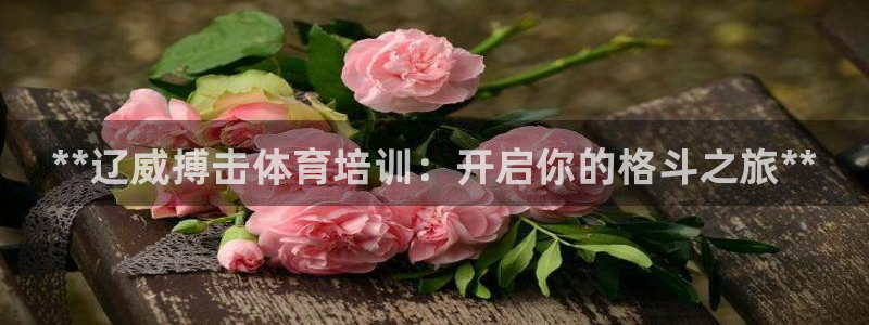 耀世小说全文免费阅读：**辽威搏击体育培训：开启你的格斗之旅