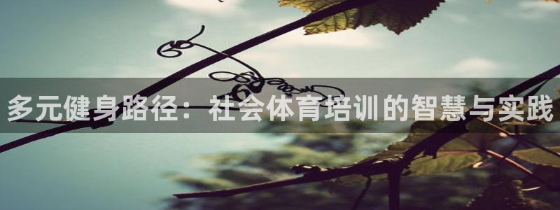 耀世平台代理怎么样