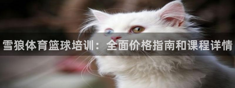 耀世娱乐官方网站入口：雪狼体育篮球培训：全面价格指南