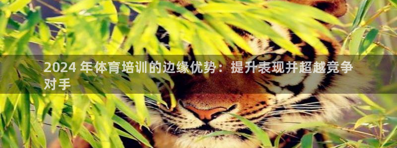 耀世登场一样的词：2024 年体育培训的边缘优势：提升表现并