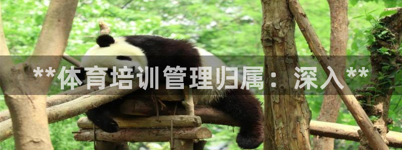 耀世娱乐代理什么待遇：**体育培训管理归属：深入**