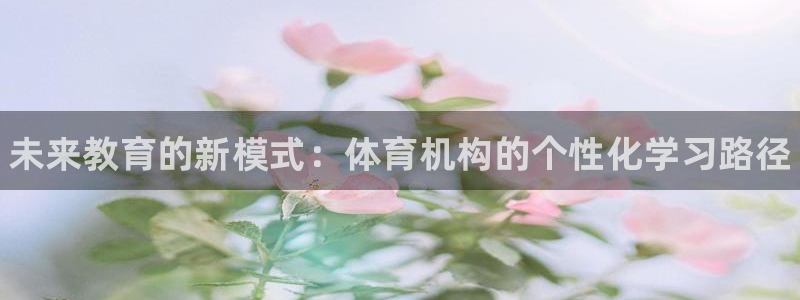 耀世璀璨什么意思：未来教育的新模式：体育机构的个性化学习路径