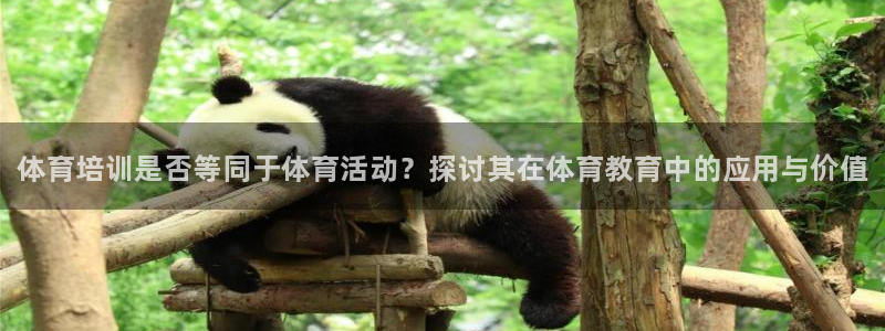 耀世娱乐官网网站登录：体育培训是否等同于体育活动？探