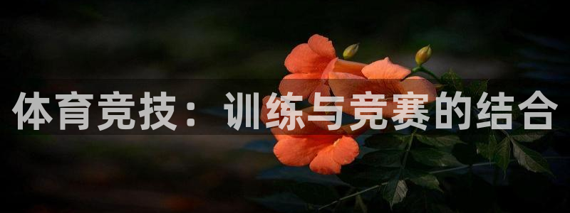 耀世集团四个字的图片：体育竞技：训练与竞赛的结合