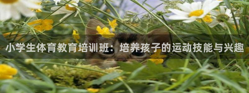 耀世天下的近义词是什么：小学生体育教育培训班：培养孩