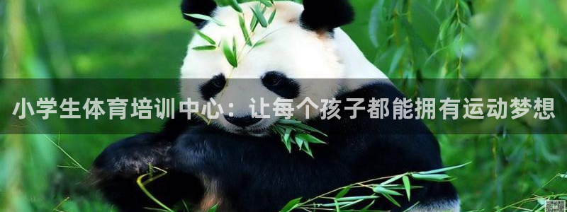 耀世平台主管：小学生体育培训中心：让每个孩子都能拥有